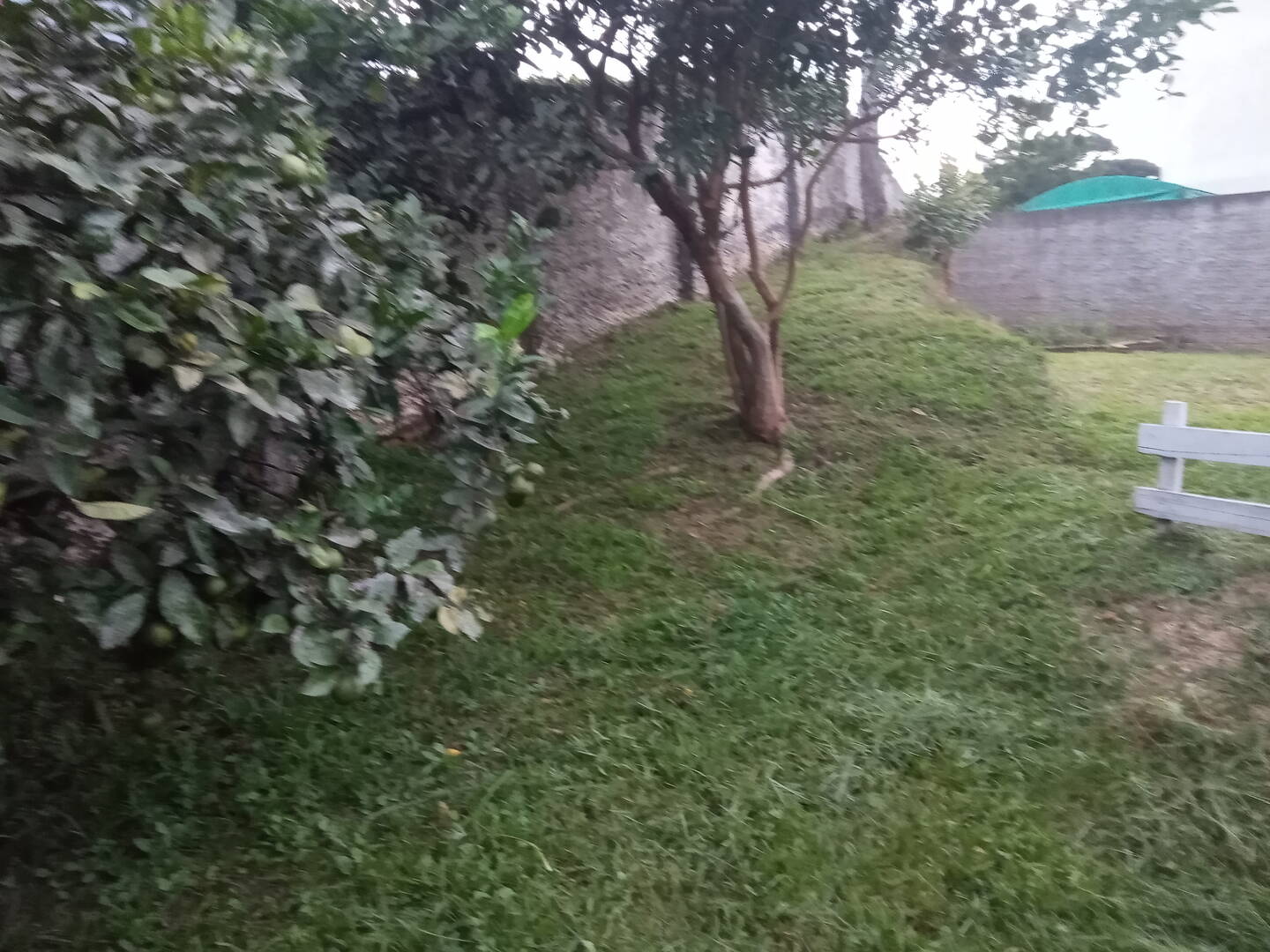 Apartamento, 3 quartos, 120 m² - Foto 21