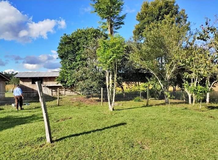 Terreno, 9 hectares - Foto 1
