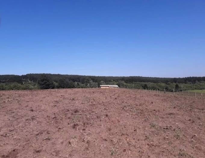 Terreno, 9 hectares - Foto 4
