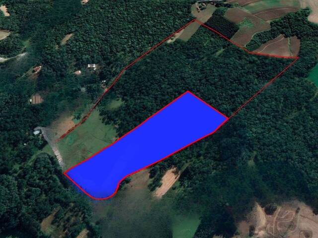 #02 - Terreno para Venda em Campo Alegre - SC - 1