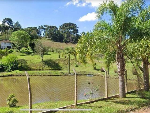 Chácara para Venda em São Bento do Sul - 5